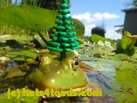 /home//u458753944/public_html/sourcegallery///Frogs/Bullfrogs 2016-08 Ontario/P8081379.JPG